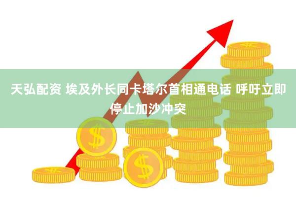 天弘配资 埃及外长同卡塔尔首相通电话 呼吁立即停止加沙冲突