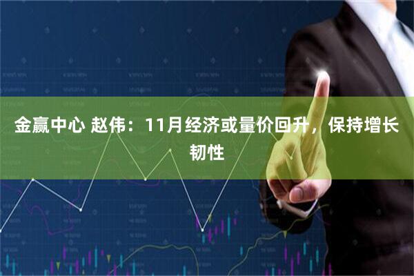 金赢中心 赵伟:11月经济或量价回升,保持增长韧性