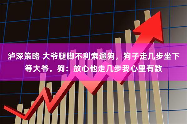 泸深策略 大爷腿脚不利索遛狗,狗子走几步坐下等大爷。狗:放心他走几步我心里有数